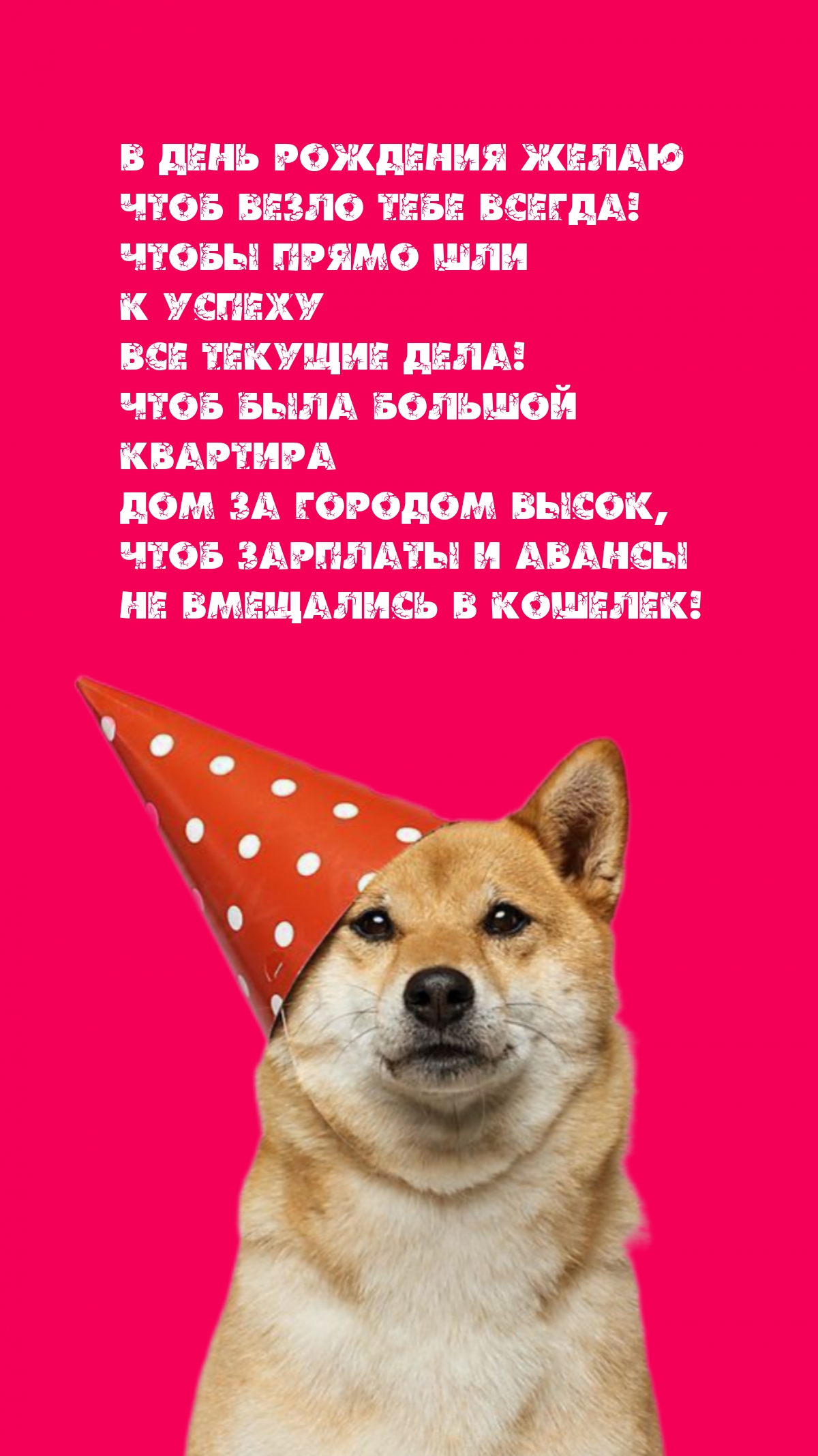 � ���� �������� ����� ���� ����� ���� ������!