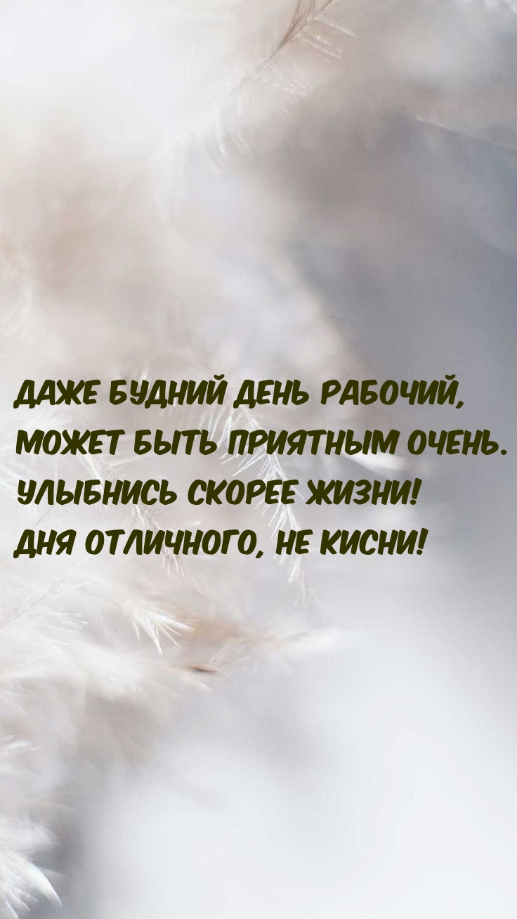 ���� ������ ���� �������, ����� ���� �������� �����.