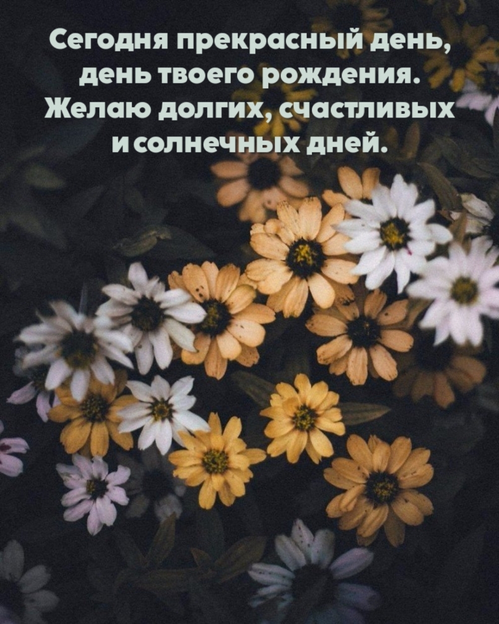 ������� ���������� ����, ���� ������ ��������.