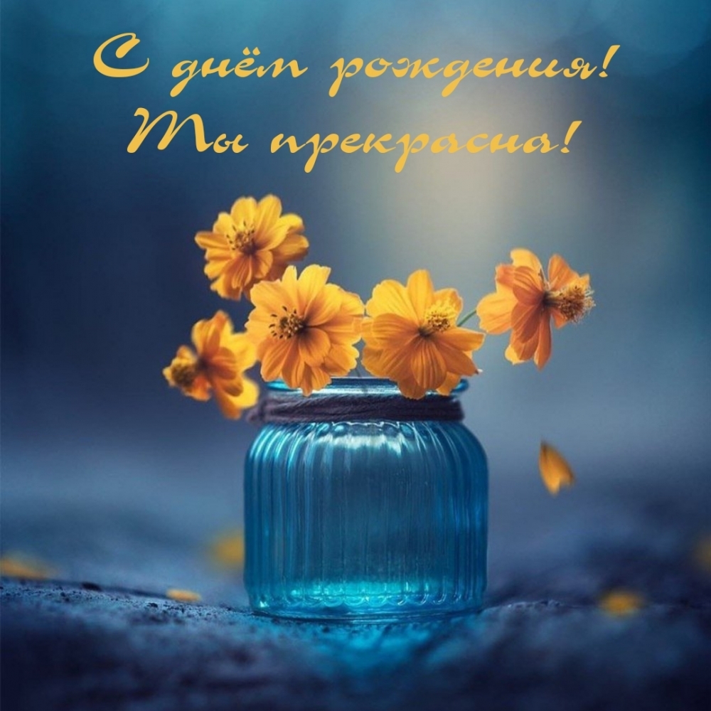 � ���� ��������! �� ���������!