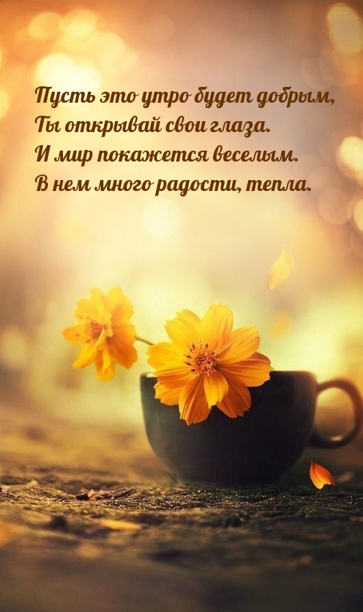 ����� ��� ���� ����� ������, �� �������� ���� �����.
