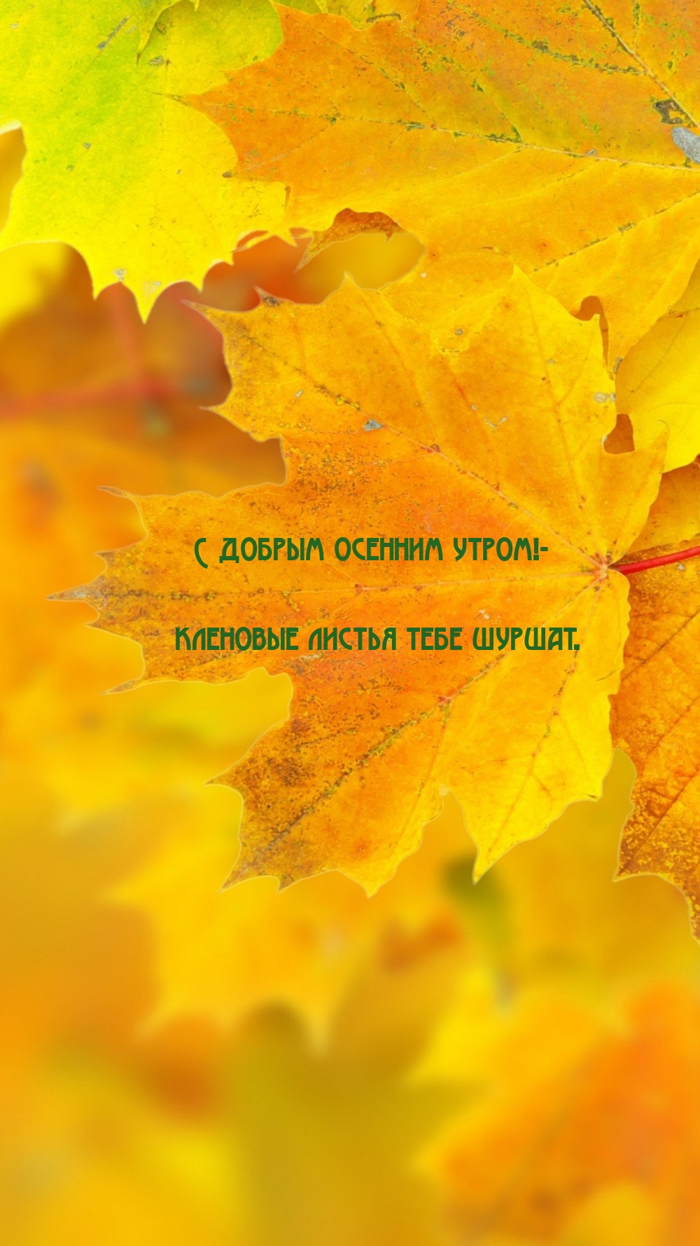 � ������ ������� �����! �������� ������ ���� ������.