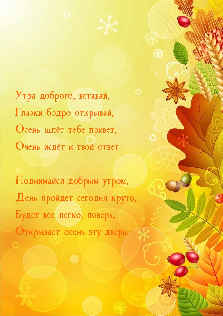 ���� �������, �������, ������ ����� ��������