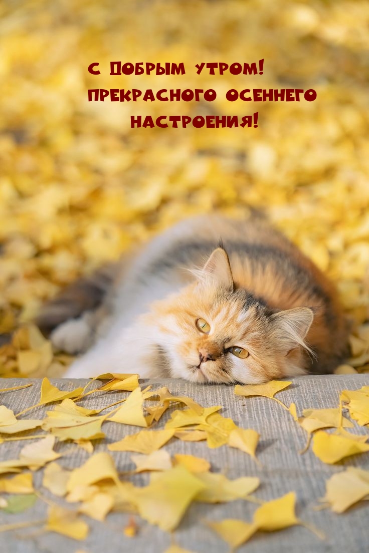 � ������ �����! ����������� �������� ����������!