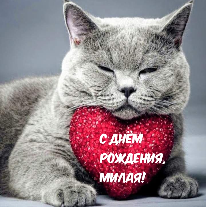 � ���� ��������, �����!