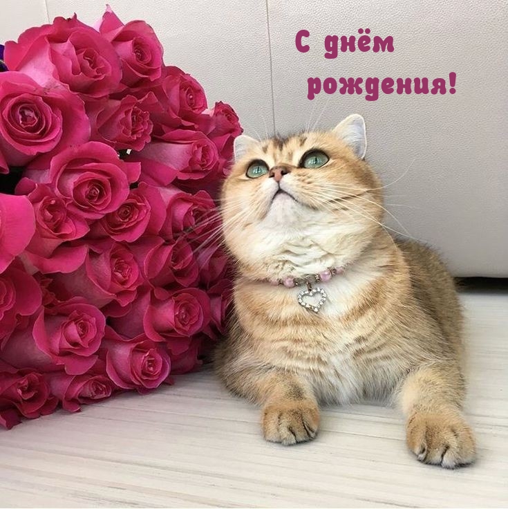 � ���� ��������!