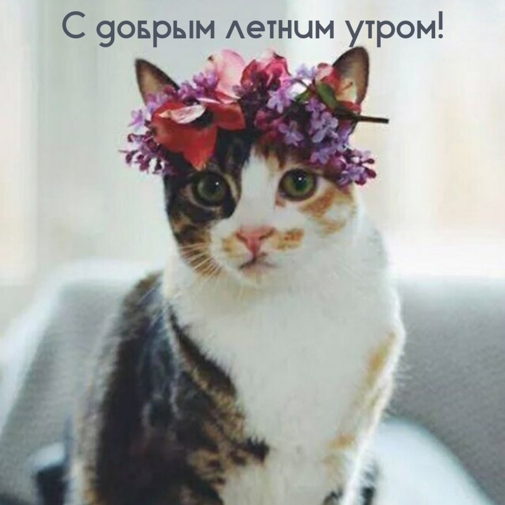 � ������ ������ �����!