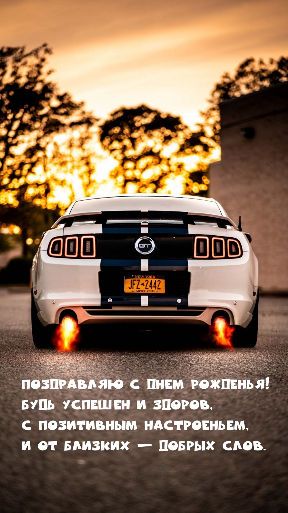 ���������� � ���� ��������! ���� ������� � ������