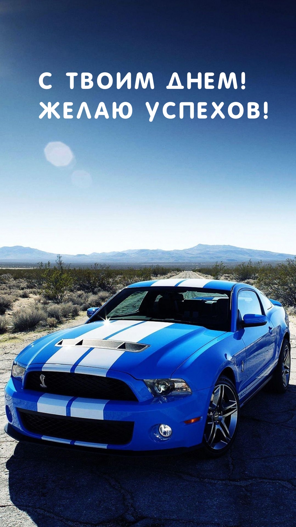 � ����� ����! ����� �������!