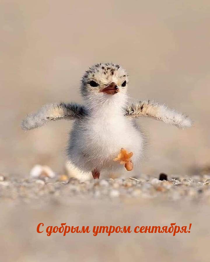 � ������ ����� ��������!
