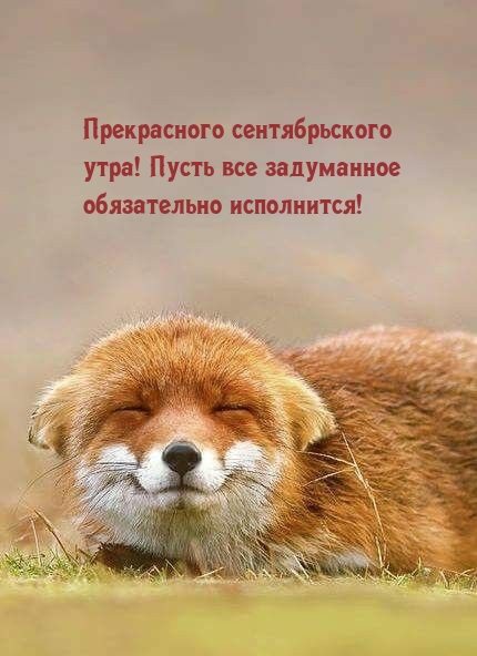 ����������� ������������� ����! ����� ��� ���������� ����������� ����������!