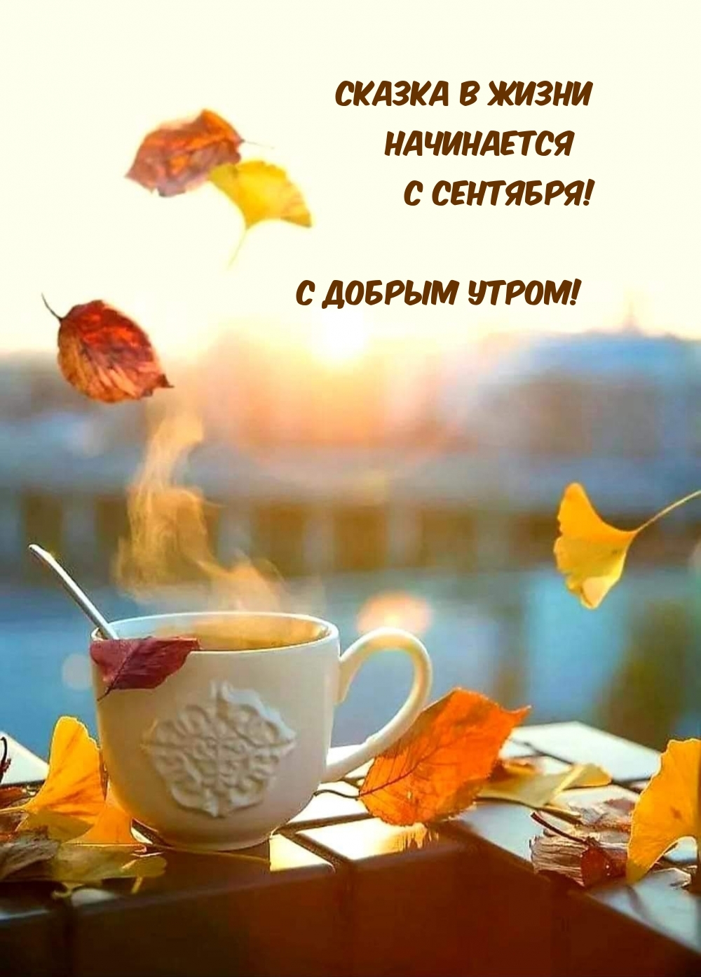 ������ � ����� ���������� � ��������!  � ������ �����!