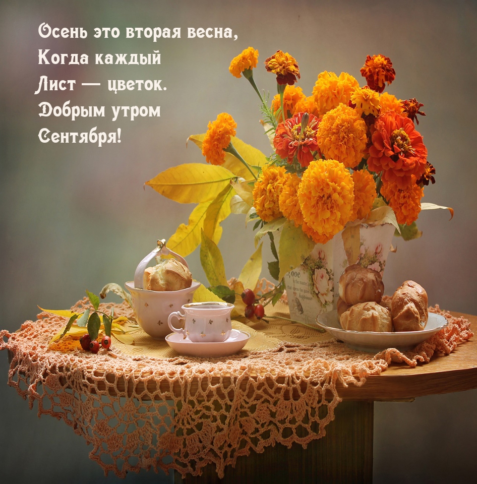 ���� � ������. ������ ����� ��������!