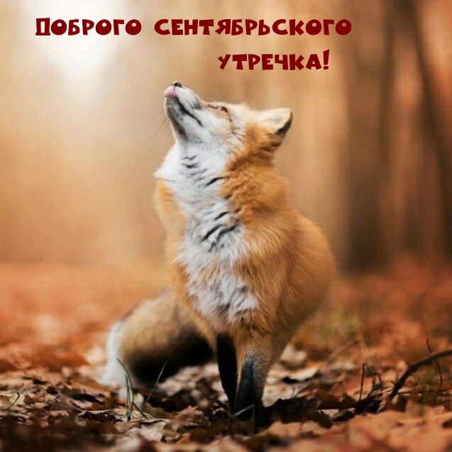 ������� ������������� �������!