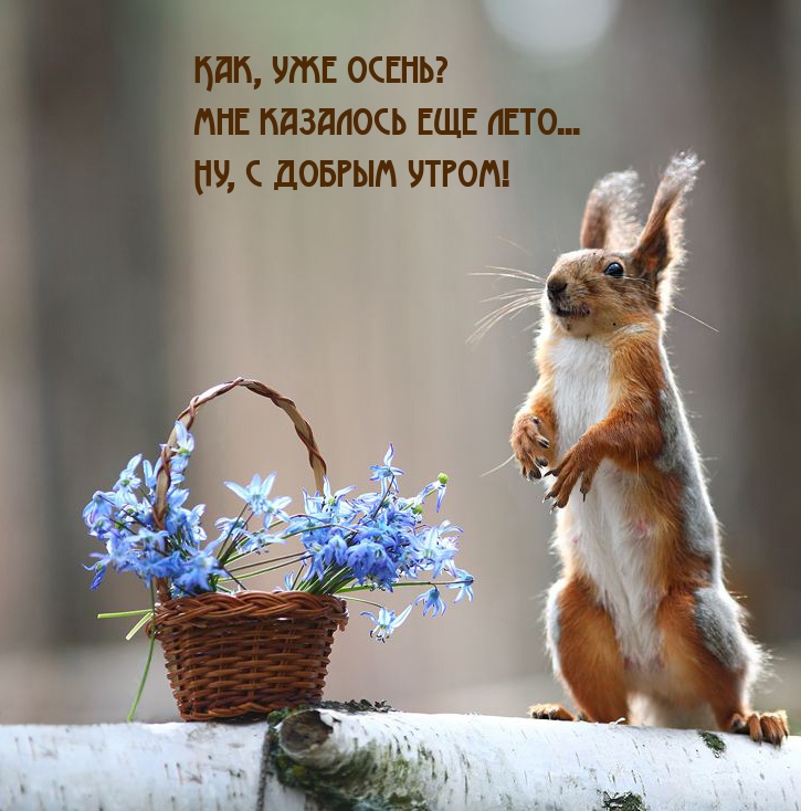 ���, ��� �����? ��� �������� ��� ����... ��, � ������ �����!