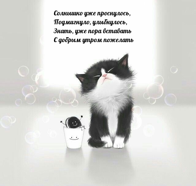 �����, ��� ���� �������� � ������ ����� ��������