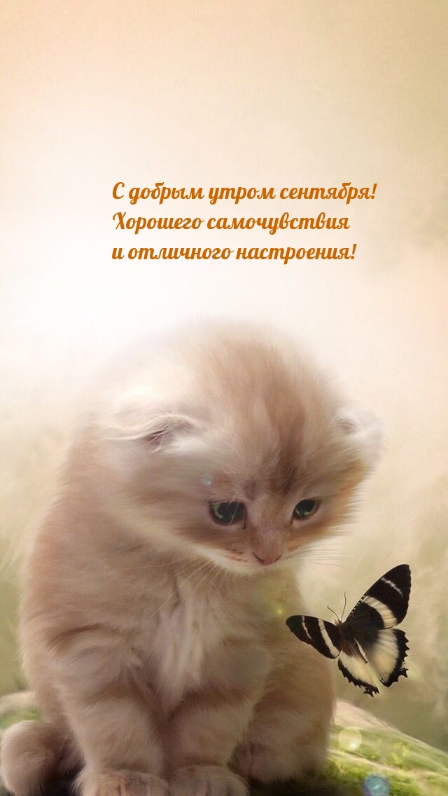 � ������ ����� ��������! �������� ������������