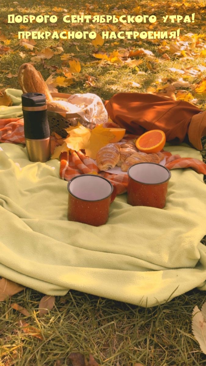 ������� ������������� ����! ����������� ����������!
