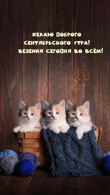 ����� ������� ������������� ����! ������� ������� �� ���!