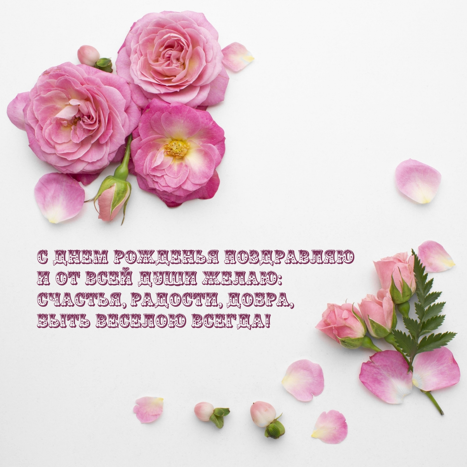� ���� �������� ���������� � �����: �������, �������