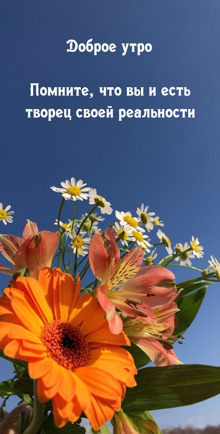 ������ ���� �������, ��� �� � ���� ������ ����� ����������