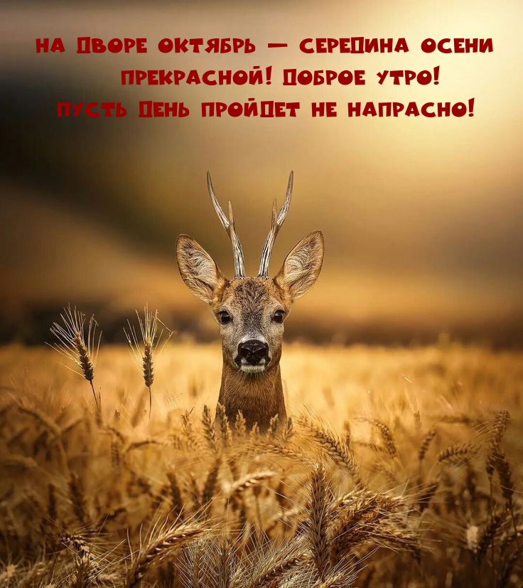 �� ����� ������� � �������� ����� ����������! ������ ����! 