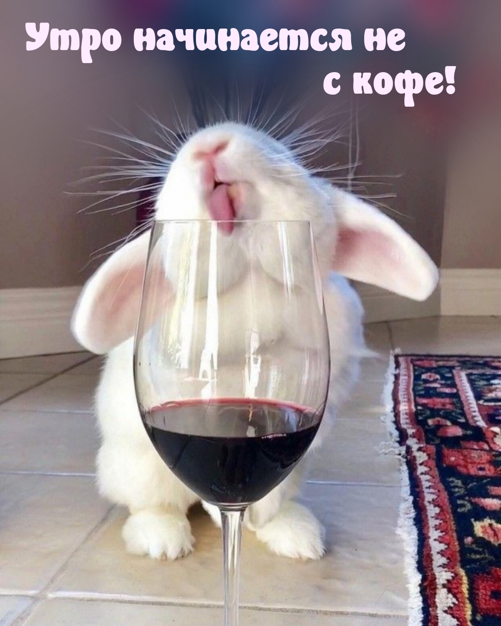 ���� ���������� �� � ����!