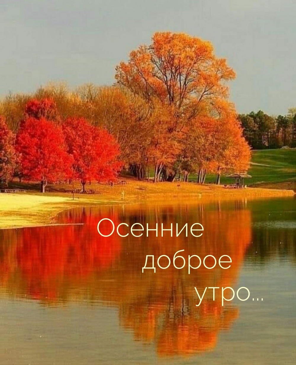 ������� ������ ����...