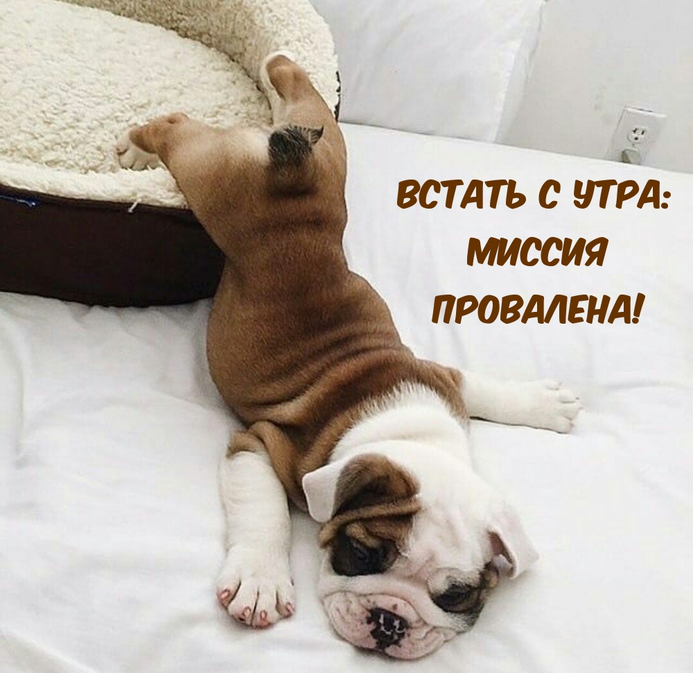 ������ � ����: ������ ���������!