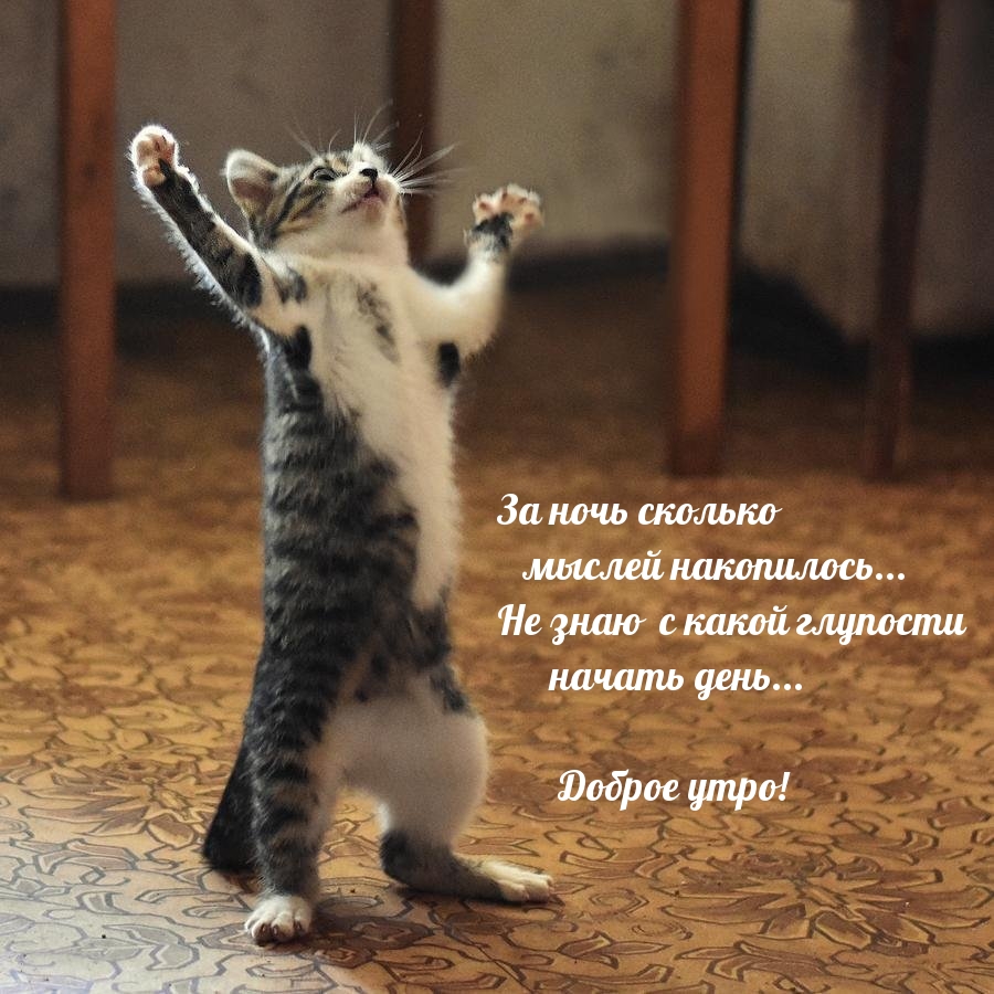 �� ���� ������� ������ ����������... � ����� �������� ������ ����...