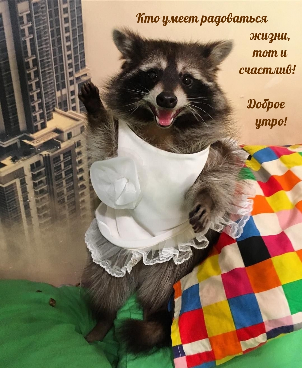 ��� ����� ���������� �����, ��� � ��������! ������ ����!