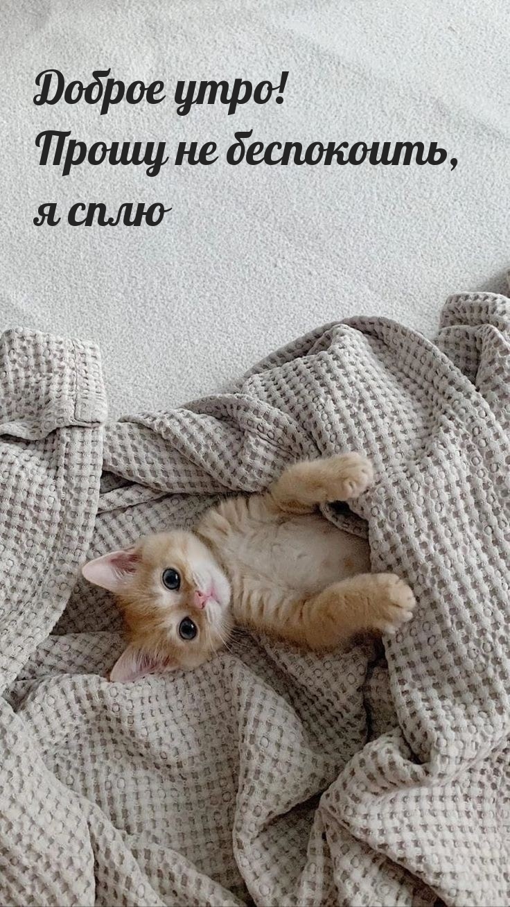 ������ ����! ����� �� ����������, � ����