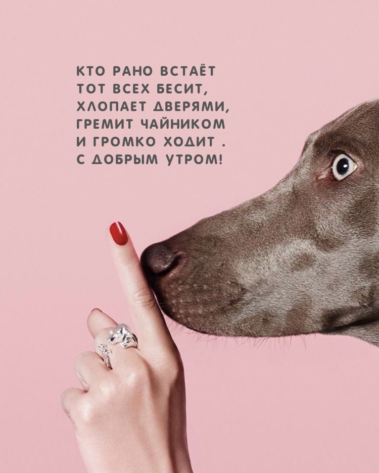 � ������ �����! ��� ���� ����� ��� ���� �����