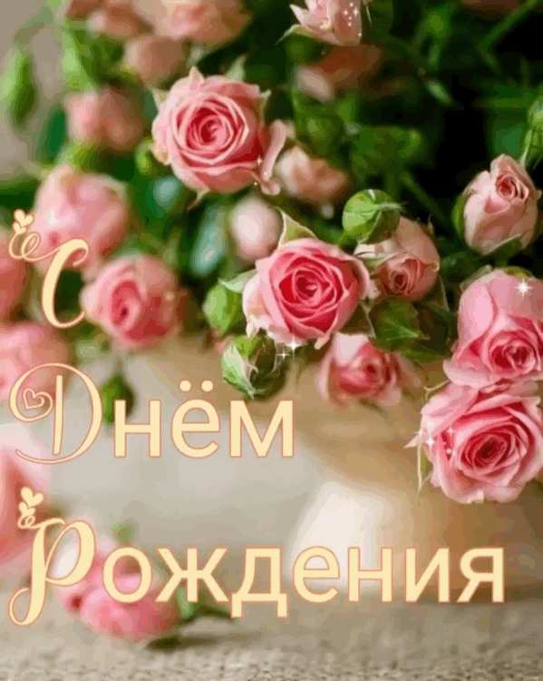 � ���� �������� 