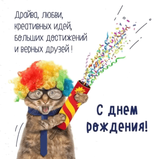 � ���� ��������! ������ �����, ���������� ����