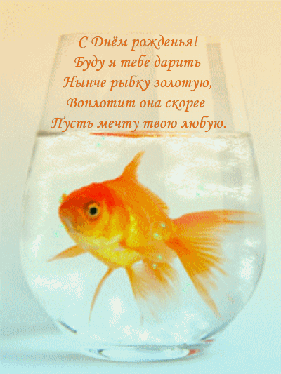 ���� � ���� ������ ����� ����� �������