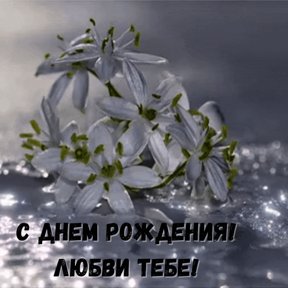 � ���� ��������! ����� ����!