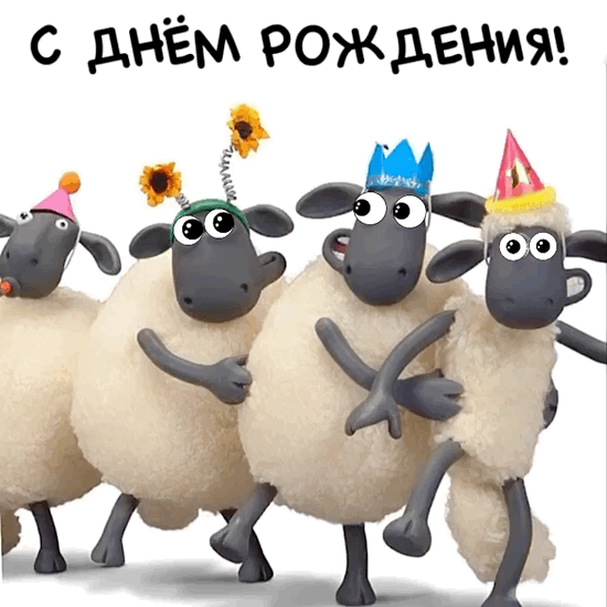 � ���� ��������!