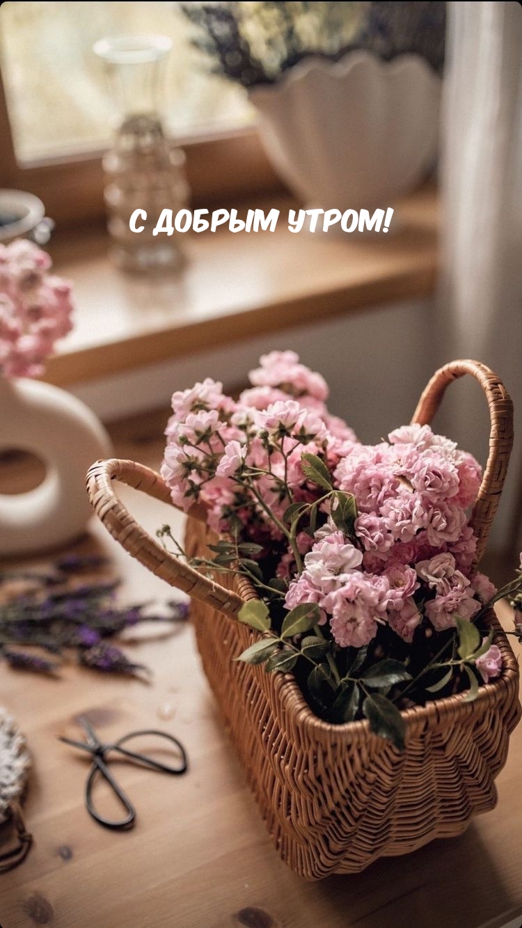 � ������ �����!