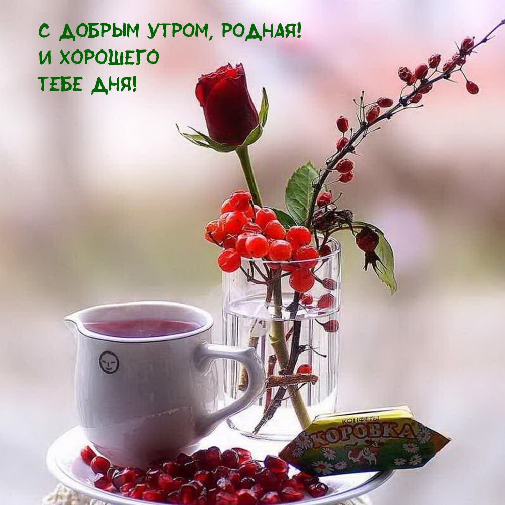 � ������ �����, ������! � �������� ���� ���!
