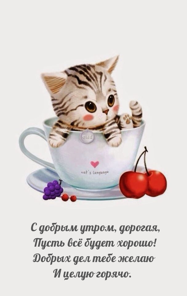� ������ �����, �������, ����� �� ����� ������!