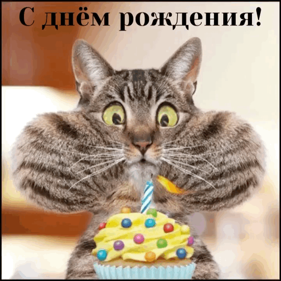 � ���� ��������!