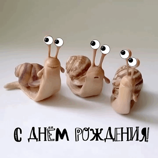 � ���� ��������!