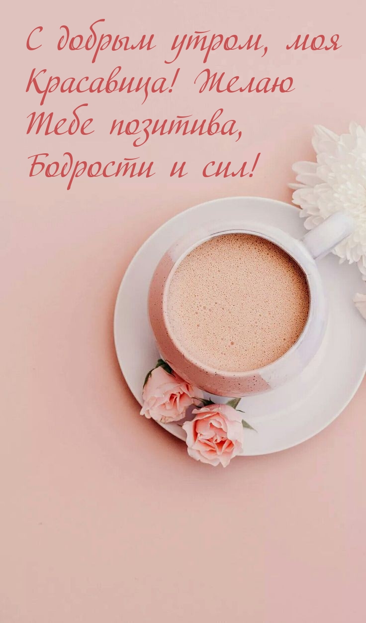 � ������ �����, ��� ���������! ����� ���� ��������
