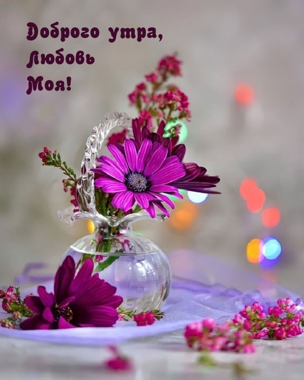 ������� ����, ������ M��!