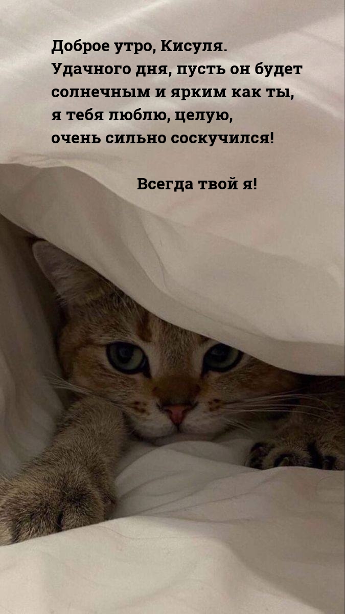 ������ ����, ������. �������� ���, ����� �� ����� ���������  