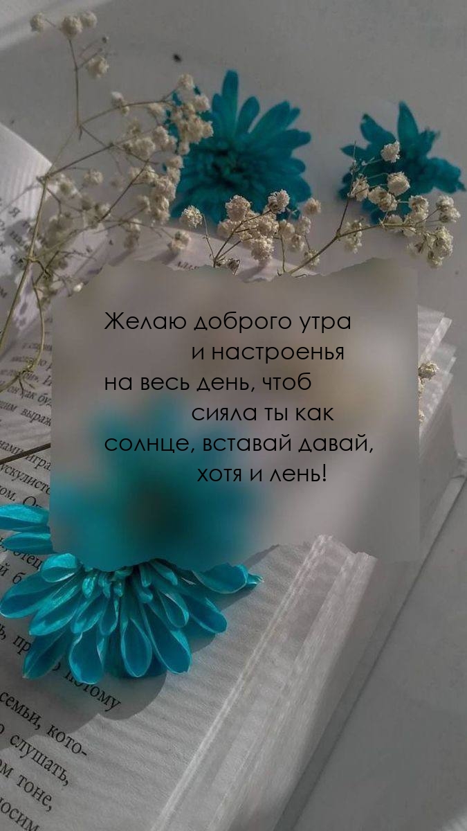 ����� ������� ���� � ����������  �� ���� ����