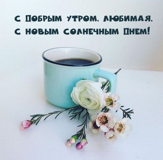 � ������ �����, �������, � ����� ��������� ����!