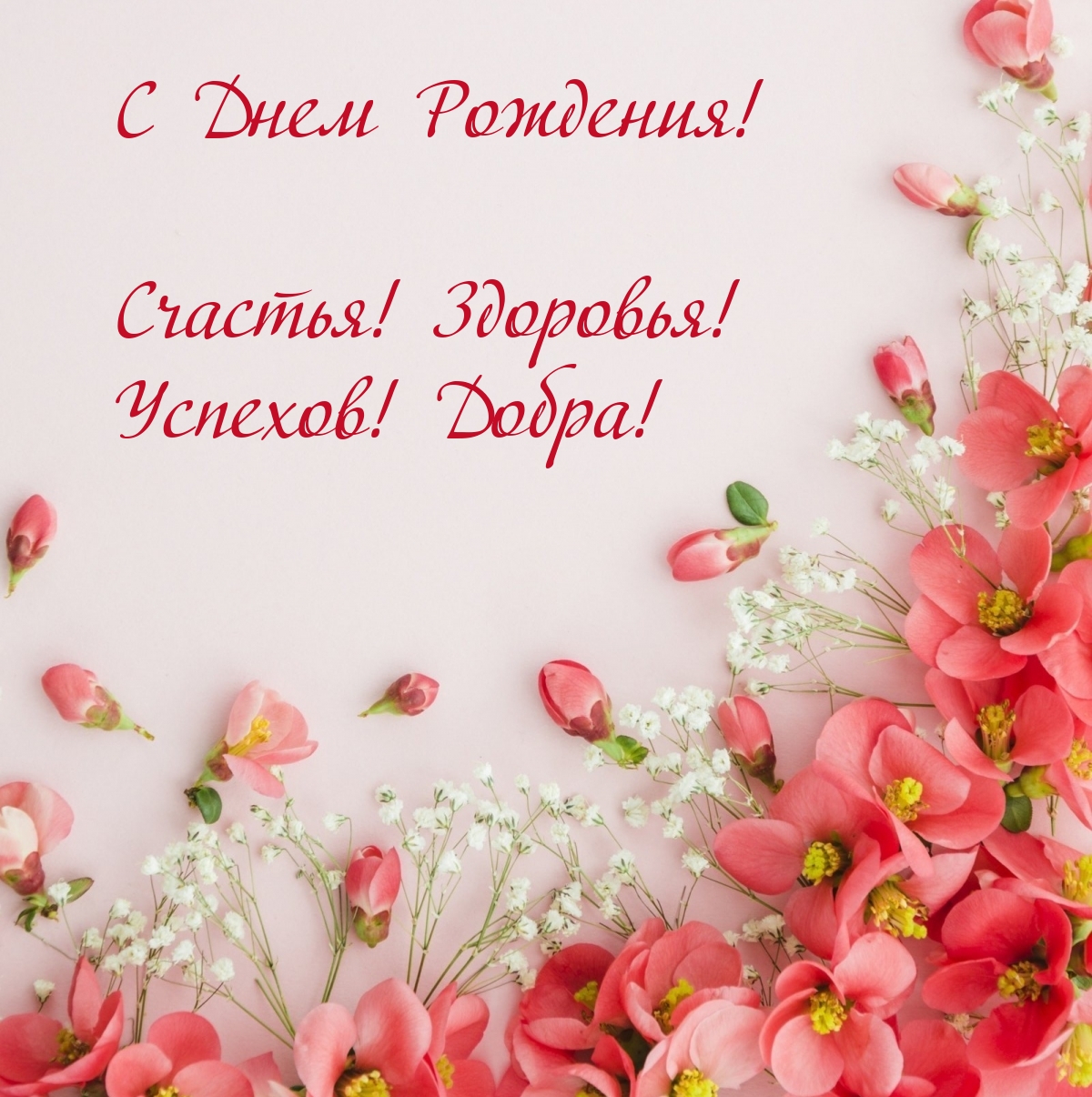 � ���� ��������! �������! ��������! �������! �����!