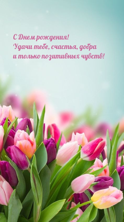 � ���� ��������! ����� ����, �������, ����� 